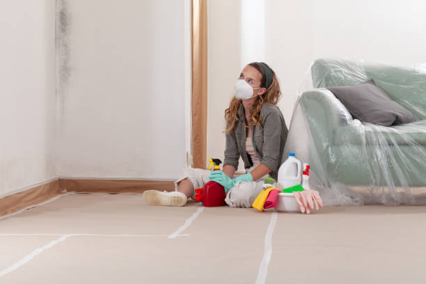 Reliable Mold Removal contractor in West Friendship, MD by WQB Mold Removal
